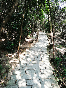 深圳塘朗山郊野公園