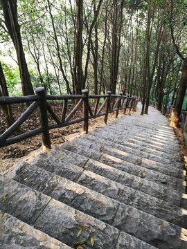 深圳塘朗山郊野公園