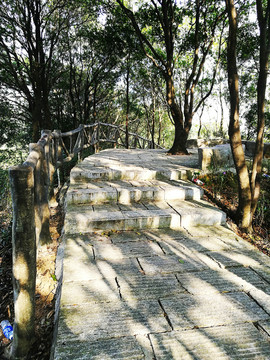 深圳塘朗山郊野公園