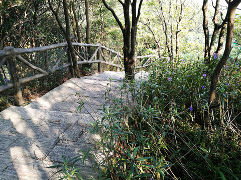 塘朗山郊野公園風(fēng)景