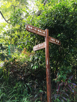深圳塘朗山公園 道路指示牌