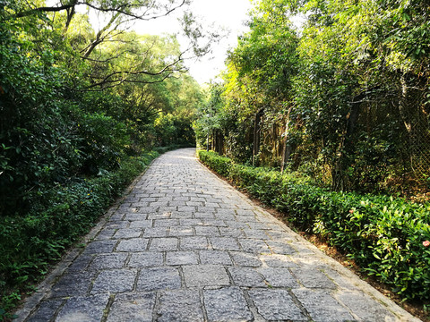 塘朗山郊野公園風(fēng)景