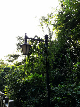深圳塘朗山公園景區(qū)
