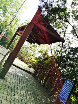深圳筆架山森林公園風(fēng)光