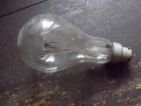 電燈泡