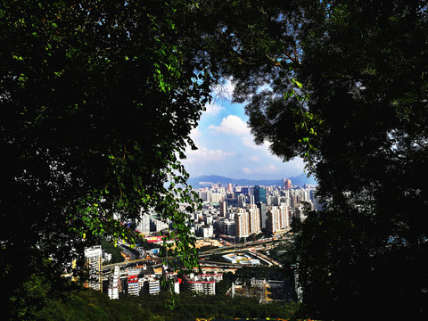 深圳筆架山公園風景