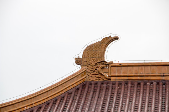 南京博物院 屋頂