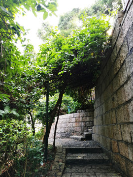 深圳福田筆架山公園