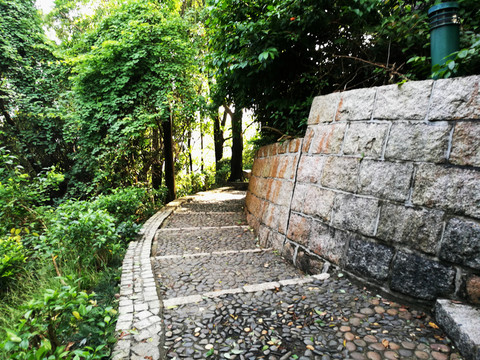 筆架山公園登山道