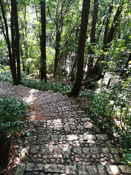 筆架山公園登山道
