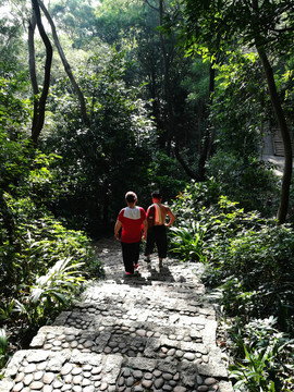 筆架山公園登山道