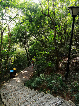 筆架山公園登山道