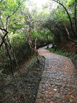深圳筆架山公園