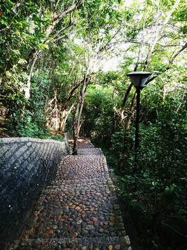 筆架山公園登山道