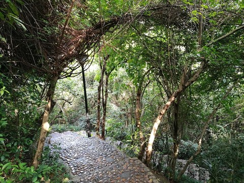 筆架山公園登山道