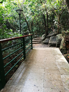 深圳筆架山公園風(fēng)光
