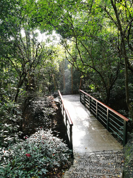 筆架山公園登山道
