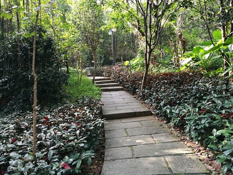 深圳筆架山公園道路