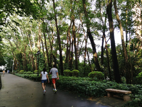 深圳筆架山公園風(fēng)光