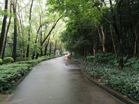 深圳筆架山公園風光