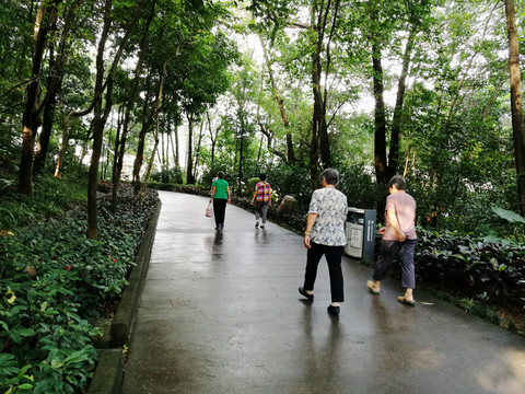 深圳筆架山公園風(fēng)光