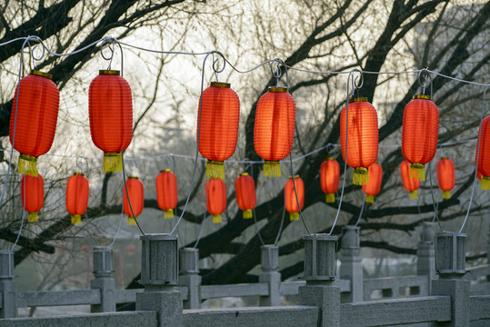 紅燈籠