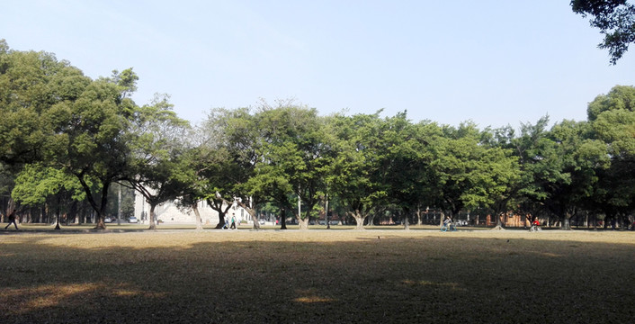 廣州中山大學(xué)校園1