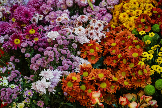鮮花墻 花店