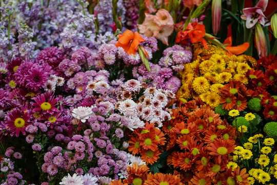鮮花墻 花店