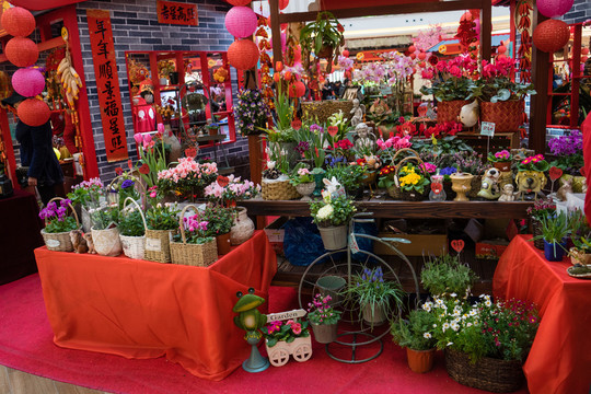花店 玫瑰 蝴蝶蘭 蘭花