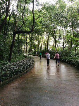 深圳筆架山公園風(fēng)光