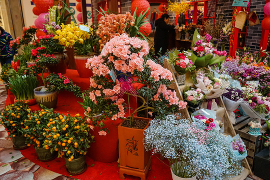 花店 玫瑰 蝴蝶蘭 蘭花