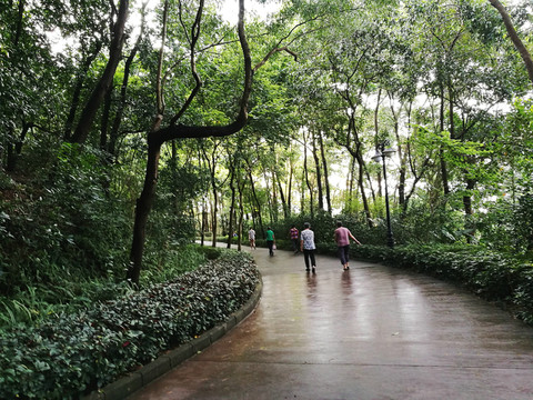 深圳筆架山公園風(fēng)光