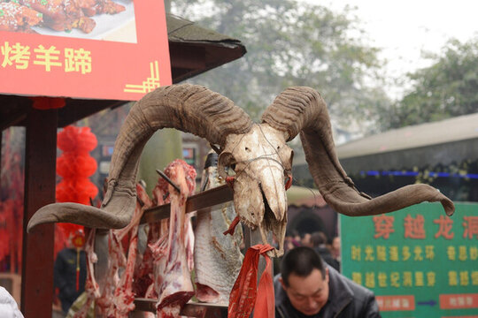 羊肉串?dāng)傸c的羊頭