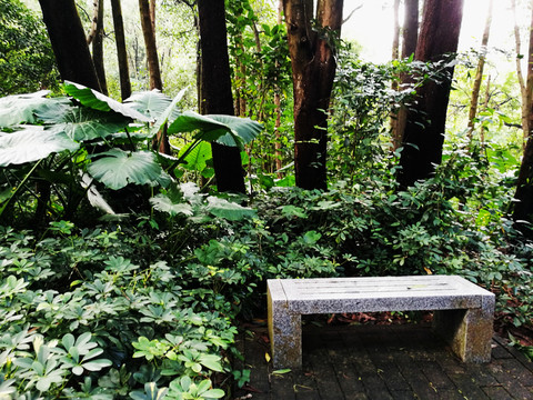 深圳筆架山公園
