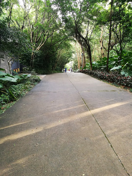 深圳筆架山公園風(fēng)景