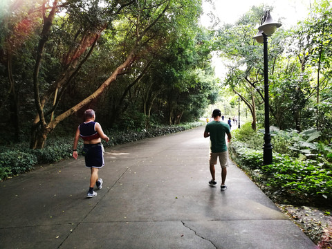 深圳筆架山公園道路