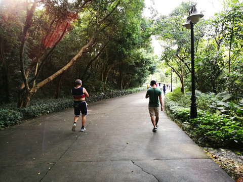 深圳筆架山森林公園風(fēng)光