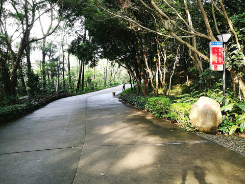 深圳筆架山公園風(fēng)景