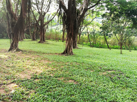 深圳筆架山公園