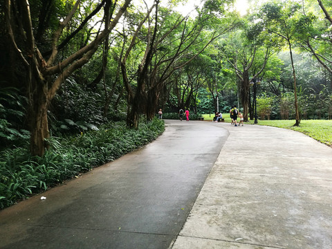 深圳筆架山公園風(fēng)景
