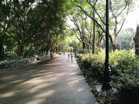 深圳筆架山公園風景