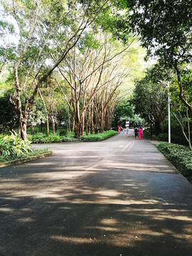 深圳筆架山公園風景