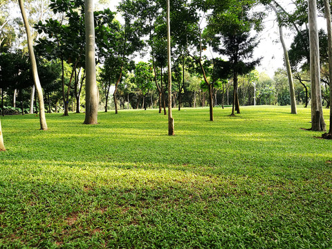 深圳筆架山森林公園美景