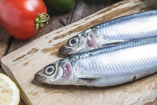 沙丁魚