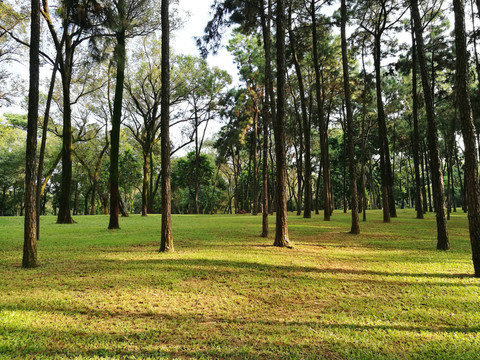 筆架山森林公園風光