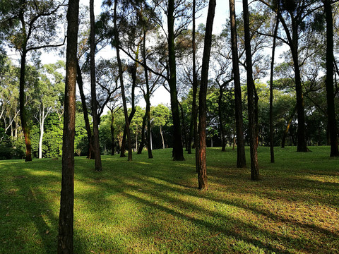 筆架山森林公園風(fēng)景