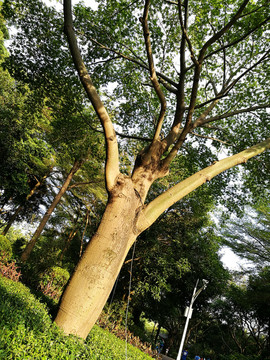 筆架山森林公園
