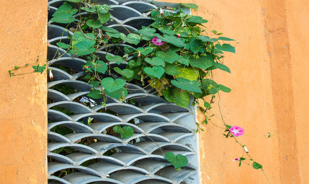 花窗