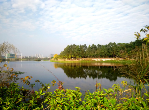 碧水藍(lán)天